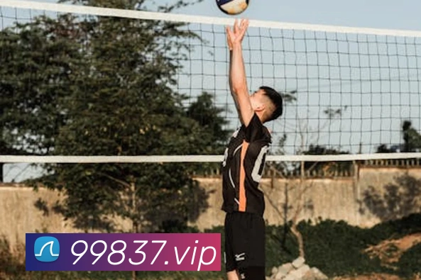 太阳集团城娱ccvip品牌故事